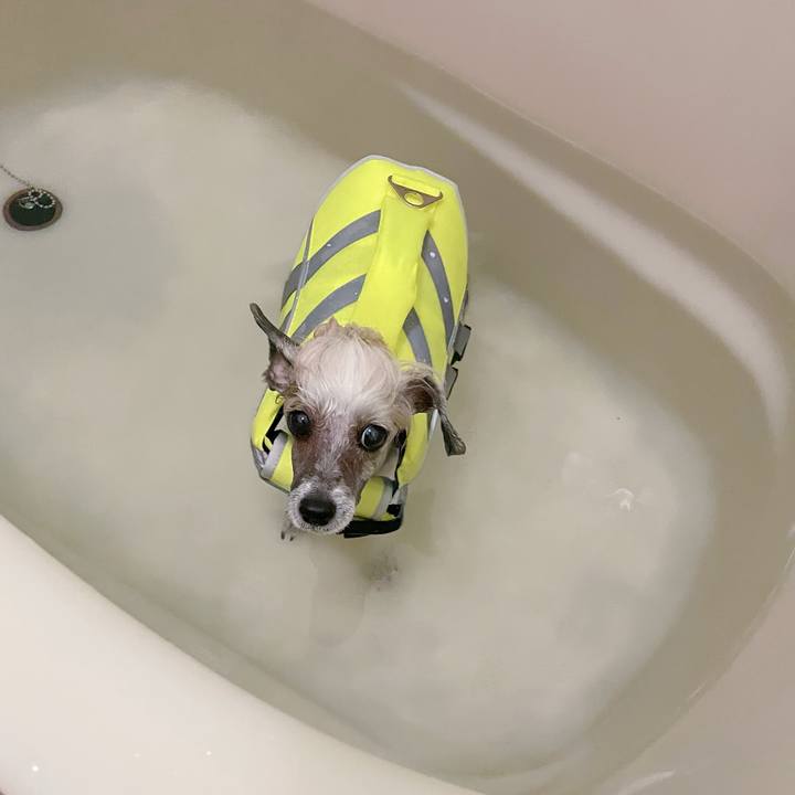 E45884cb c659 4784 9eeb 9ace8ef659e3 1773822359142