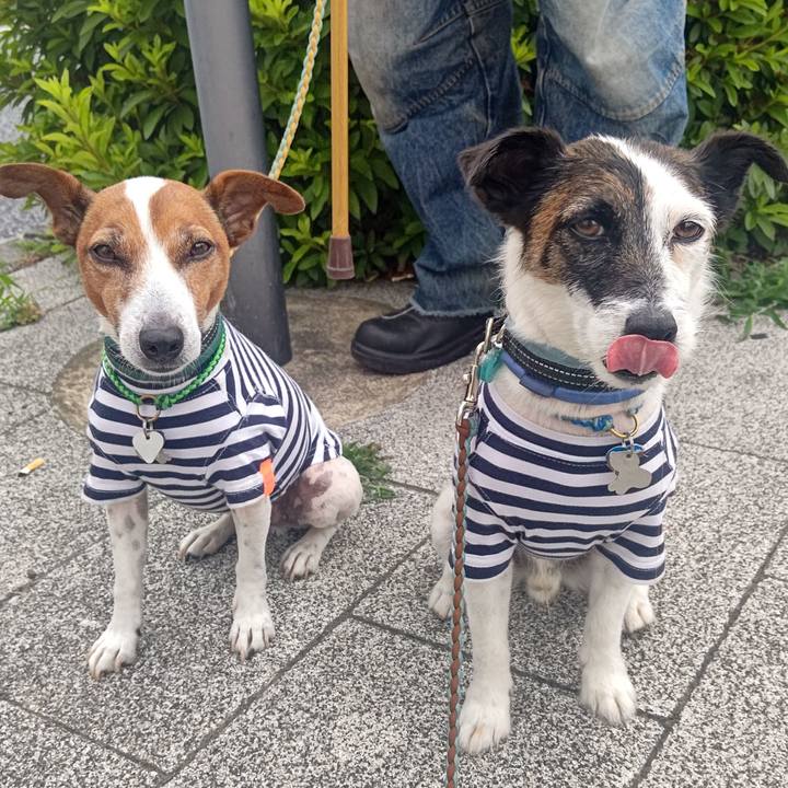 E4588e9a 7c42 414b 81c1 75d6b70c339d 1718234457554