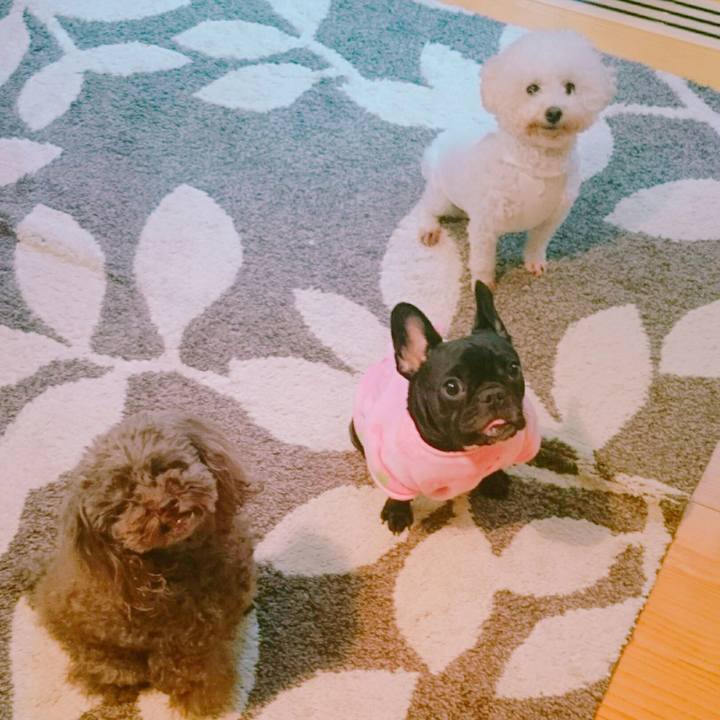 E45890b9 a462 4269 8b35 e0b93b46ff14 1512478032829