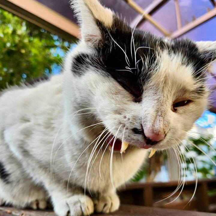 E4589311 bea8 46eb 9cd1 87da85c423d3 1771388813266