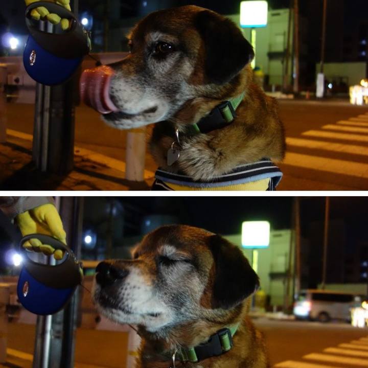 E4589a76 6a8f 4178 8969 148b836e5d6b 1517136439327