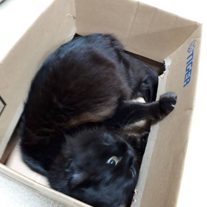 E458e3dc 002f 4870 b903 a193b1c2a953 1517257986865