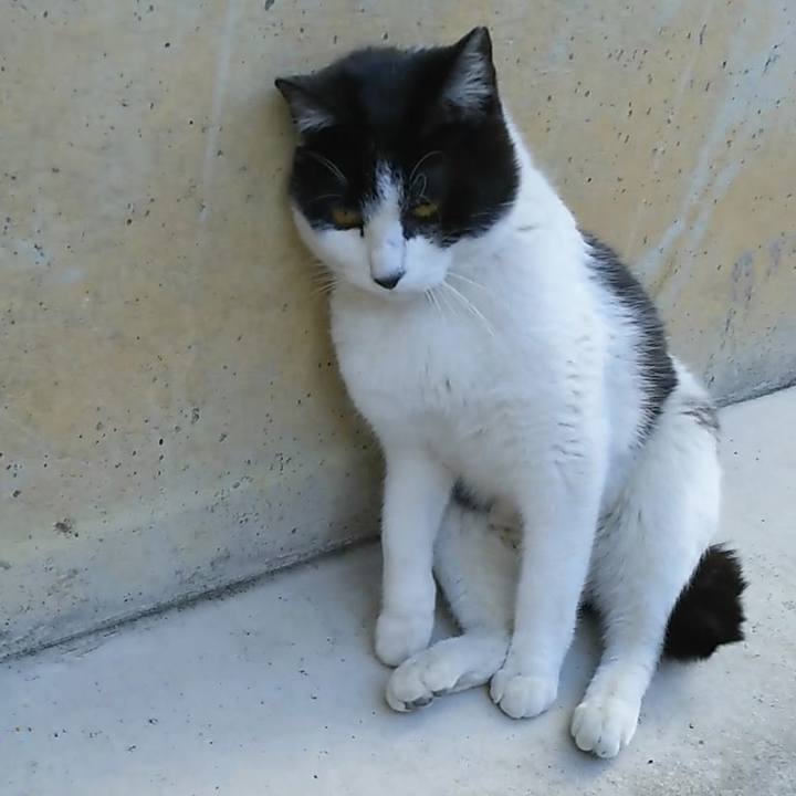 E458e7cb bca2 43c8 bfa7 3ddb079cc6ad 1554856783898