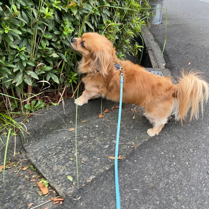 E458ee65 2f47 4b2e b1b1 fe45acd8f274 1601329511334