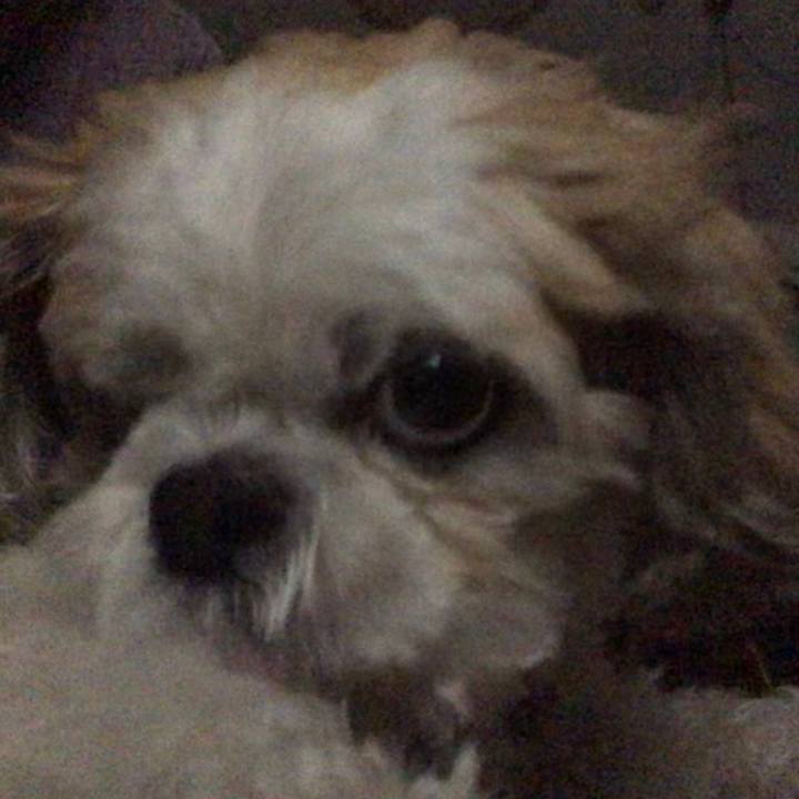 E458f2fc 61ca 4c3e 8ceb 9f845dafe41c 1571574925314