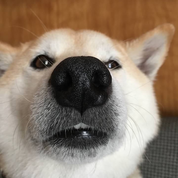 E458f8ce 5083 4e72 8614 d3780f4f4e97 1524401699306