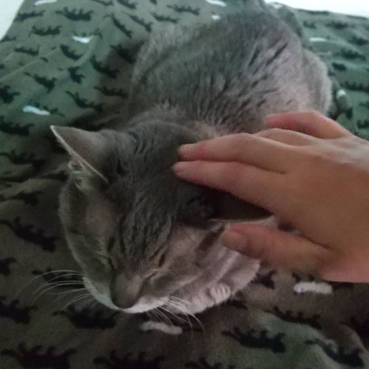 E45931f9 63e6 4be6 95d4 4435754fa352 1684967742770