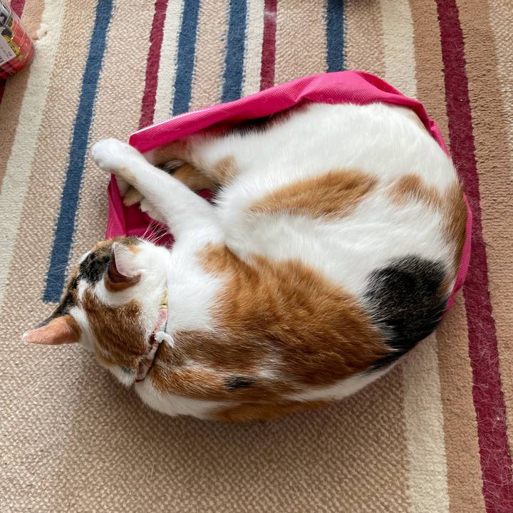 E459335b 9703 4b8d 940b 93a6f3aa2615 1633234049863