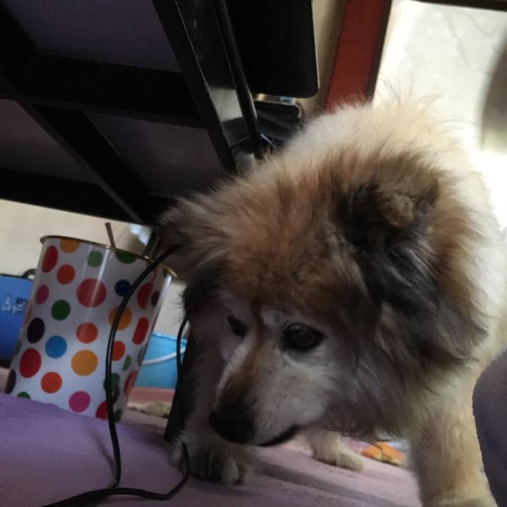 E4593b1d 540b 4af8 ba79 0bba5decea60 1560643421678