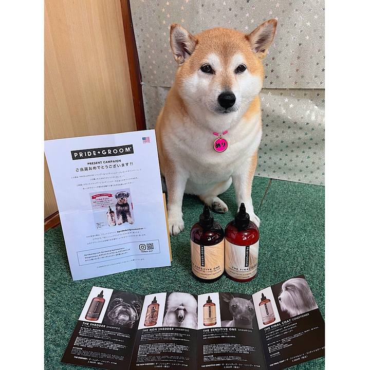 E4594e47 7ace 4c4a a61a 1218c4d975cd 1684993792717