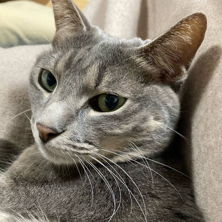 E4599ce1 74f7 49aa 9015 7e2997fbaf95 1636724133497