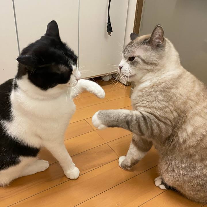 E459a5c1 b7d7 4e05 b81b 4145786f5f7c 1609839825216