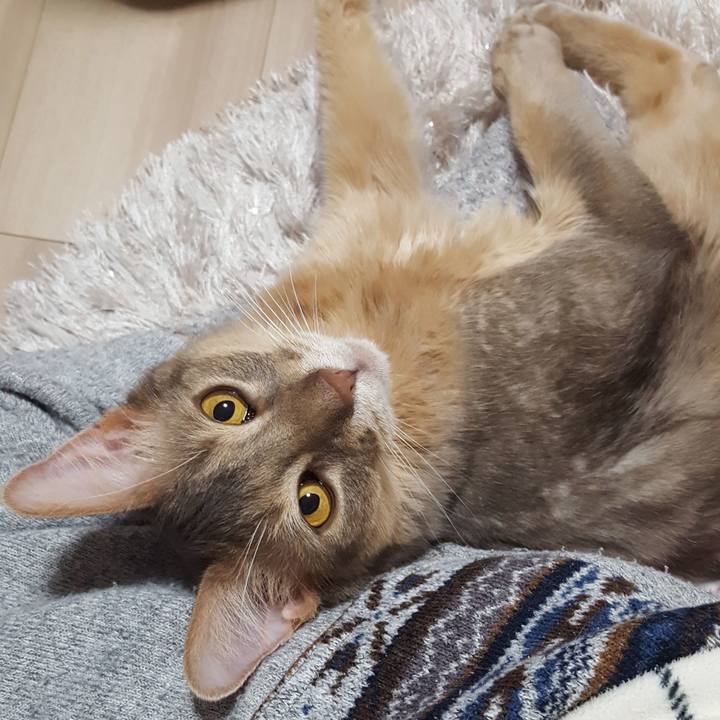 E459c422 7405 49bd 81aa 38df24acebdf 1578396939080