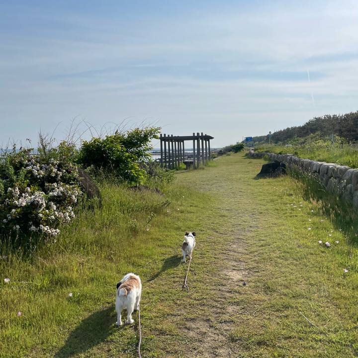 E459e33f 1088 448f 8eaa 6f923397e951 1653521125608