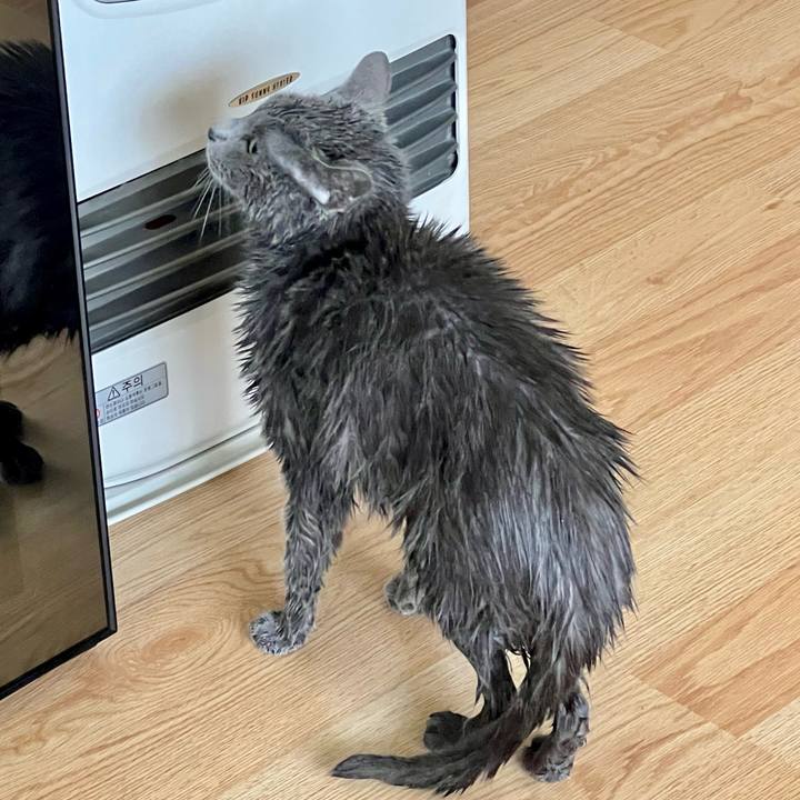 E459e3da f2fa 4bf9 bd9e 0bead69ed2de 1653197071475