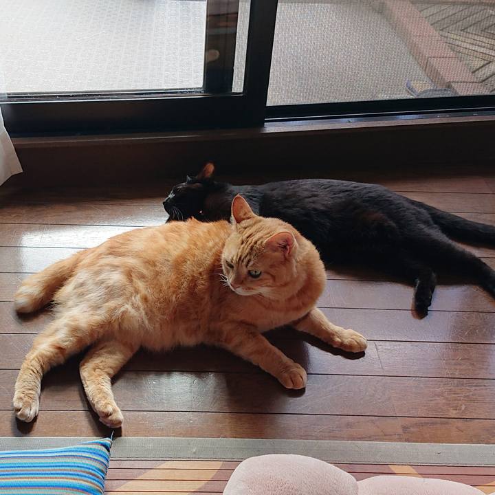 E45a4338 9a69 49af b0c6 9f1e33be32ca 1538881924676