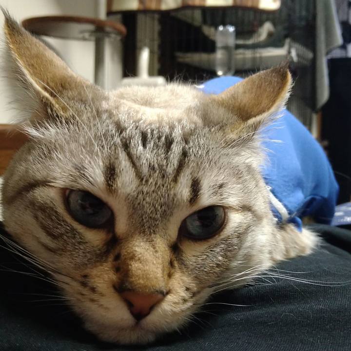 E45a4be9 367c 4993 b07e 51e28b436acf 1681213914670