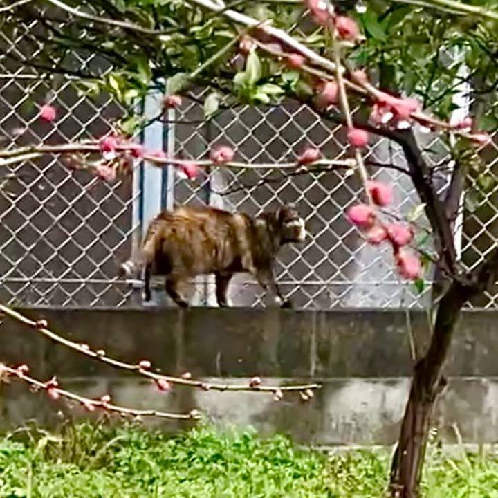 E45a5725 0d3a 4e52 8ad6 8535409d7435 1739669947219