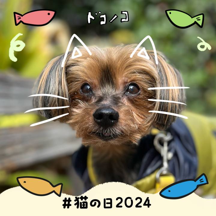 E45a7055 2c5f 4c4c 9ea7 034d5b95efa6 1708557849686