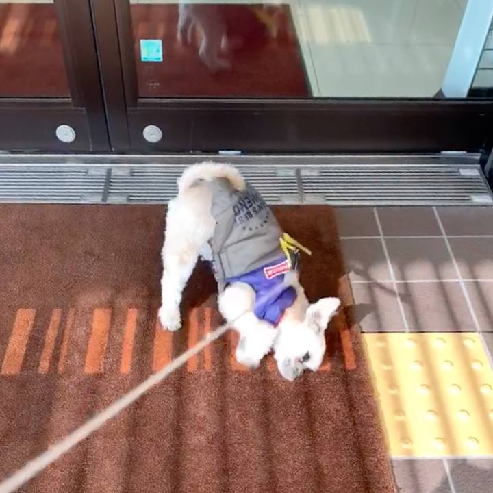 E45a7861 04c1 4fa8 a847 de4942aeccee 1550383944849