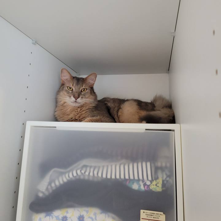 E45a9770 f251 4c91 8bf9 6d88d04a0e86 1654602835696