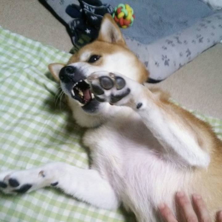 E45ae941 387d 40f9 bc94 098ff57da15c 1538298036015