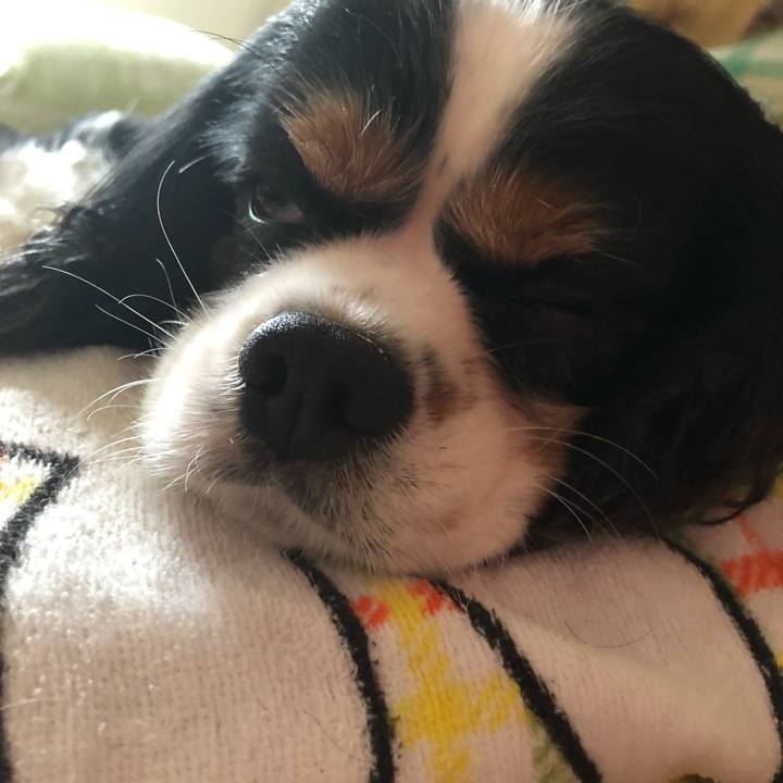 E45af446 0e98 4e94 91e7 39fe84319231 1565329363378