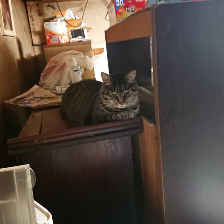 E45afaf0 6a34 464c bb38 1b7bbdaaf2af 1658955880492