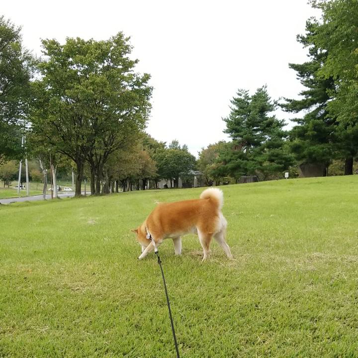 E45b1eb5 4b5a 4ca4 a09a e4cd3b1a7115 1631604923066