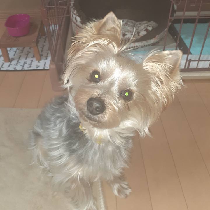 E45b5ccc 59a3 49e6 bf4e bee24615bfcd 1677636893524