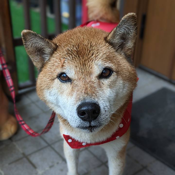 E45bbfe3 2f6d 4442 bbde 7f07f6336a68 1698536304506