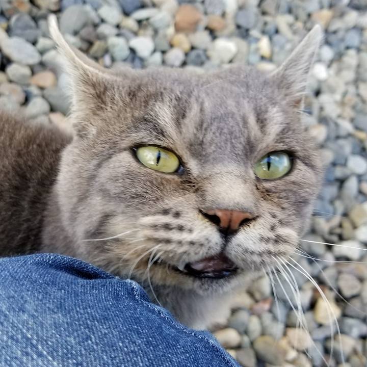 E45bcbc3 0d06 4a5b 9b4c 815c477feecb 1510751065591