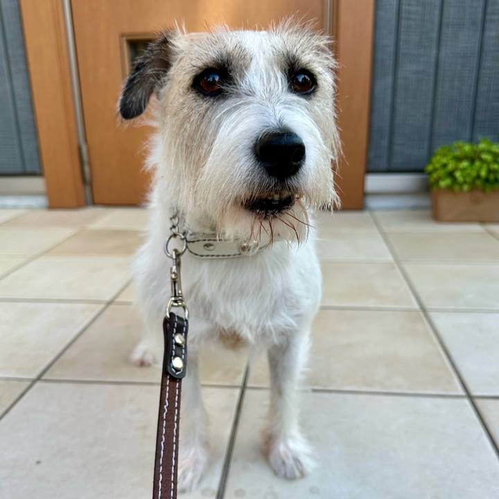 E45c090f b17e 480d bd66 e064e29e1eaa 1758625214080