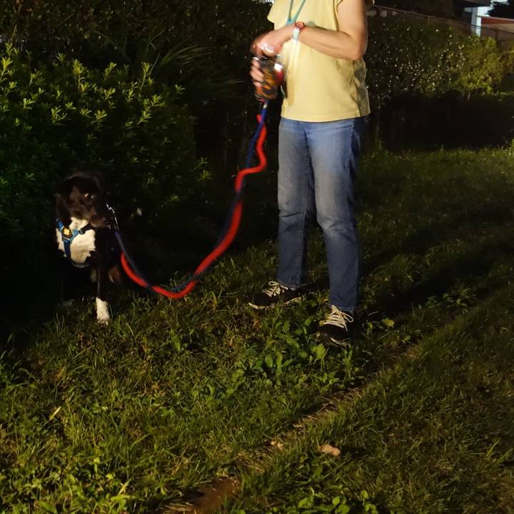 E45c0eb1 773a 4eec 82d0 bac1df9f8635 1633344063725