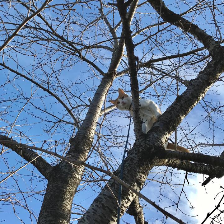 E45c14da 6d76 45a6 8b00 b0ef9043d01b 1512464585366