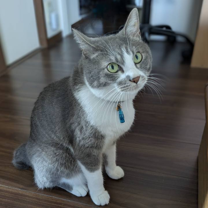 E45c3250 883c 4fd5 b2e8 01c01e3483db 1753833950324