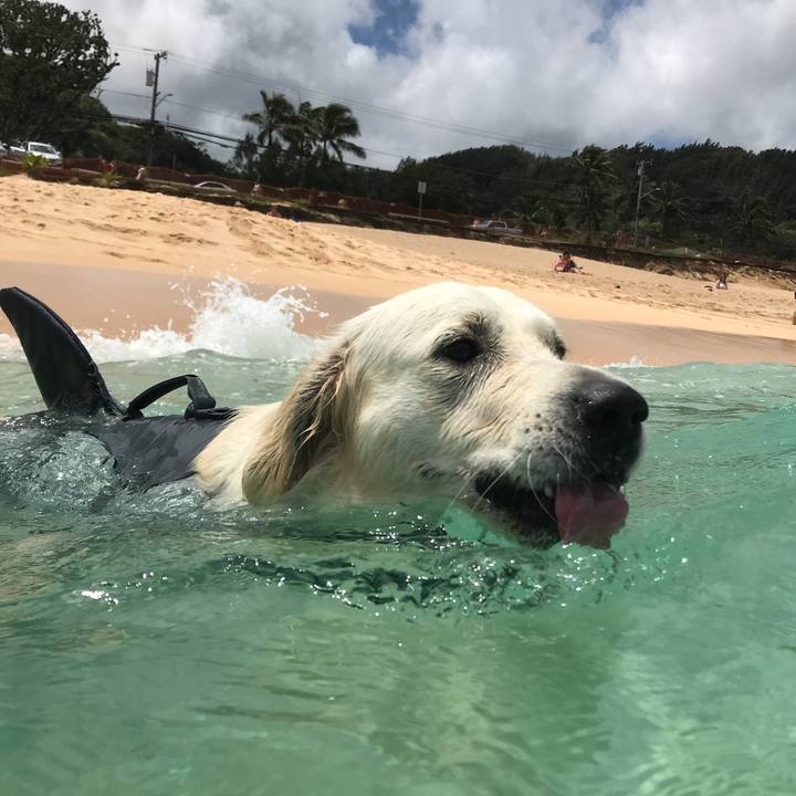 E45c3306 b83c 4257 bd8e f34febbcc32e 1531612234948