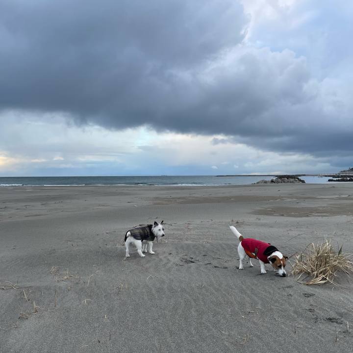 E45c4e89 8beb 4ae1 bd41 50dc49dbf7e6 1707350349302