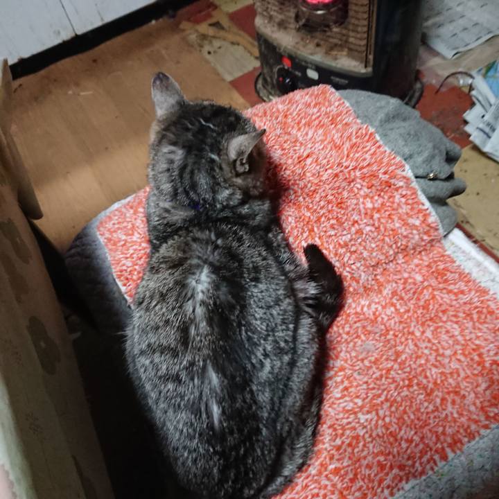 E45c5c1d d58e 4e8b 8156 7d9e715681fe 1580680280687