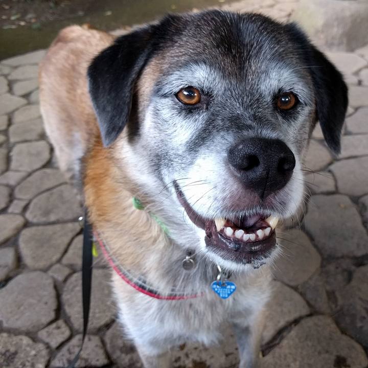 E45c637f 4fe0 44bd bb55 e6cc4743ac2b 1536540867001