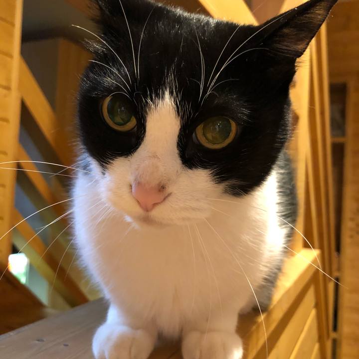 E45cc458 9e95 4cef b3c2 13de044b7152 1529613859239