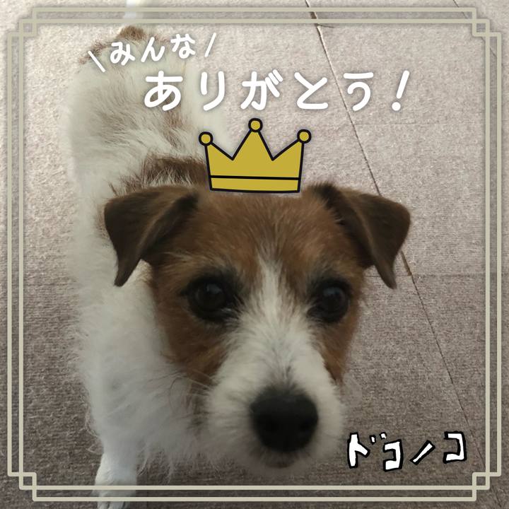 E45cecc6 a04f 4b6d 9920 ec66e848c627 1623756734813