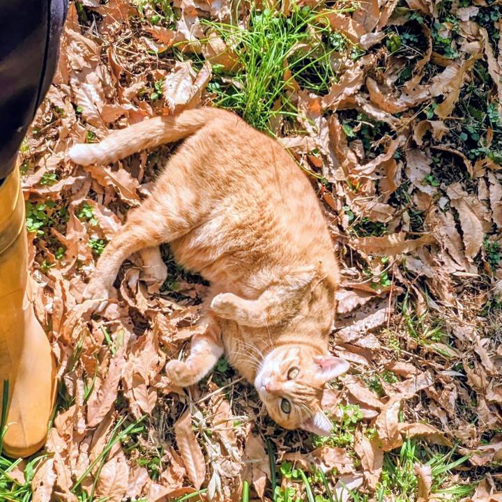 E45d321d cf51 4be1 913f 02de89428d75 1768634645020