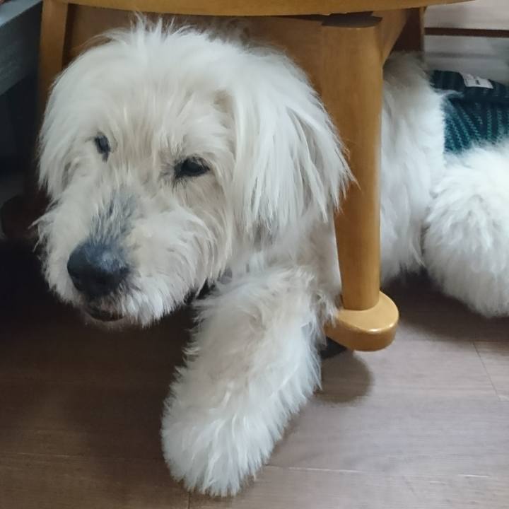 E45d4319 6bb6 4838 a9d7 acd5a511d877 1617968868372