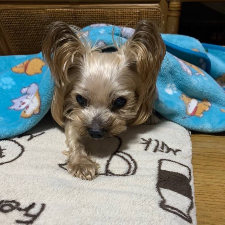 E45d502c d1e5 4bb0 97f8 8adf325450ce 1642590734492