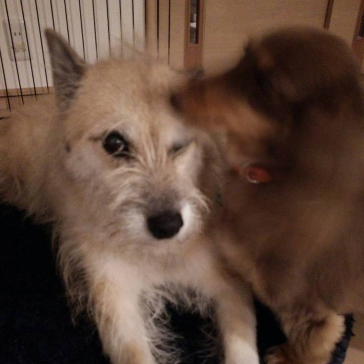 E45d5eeb 0e41 402c 8252 85bb85bfee39 1533821034689