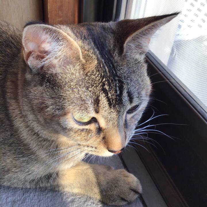 E45d69ee df97 4419 ae66 b7da16bcf70b 1584002972627