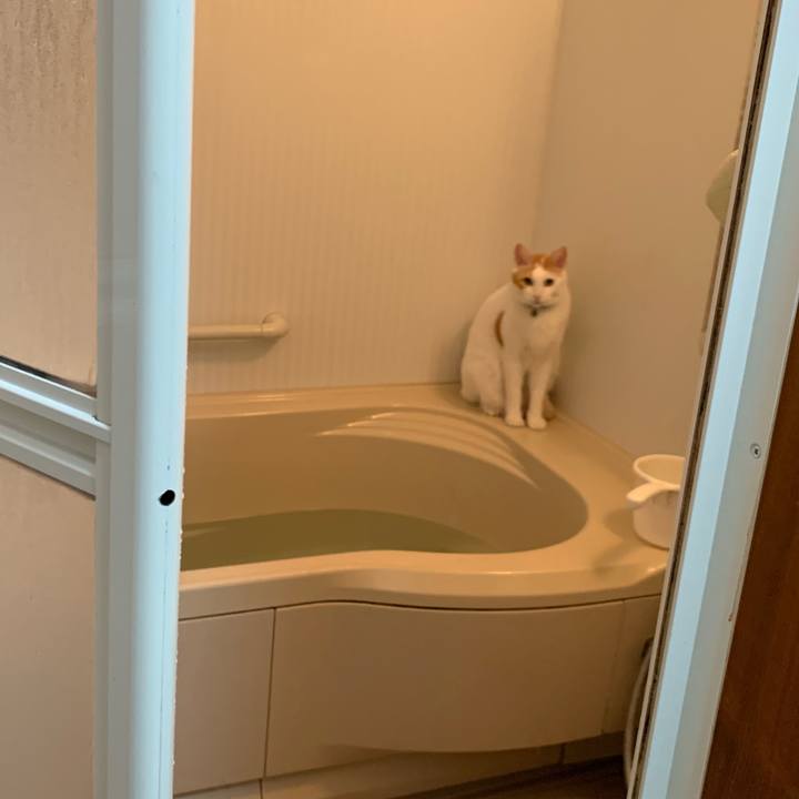 E45d6c08 1cc8 4dfb a0dd c369d33d8b60 1571317371714