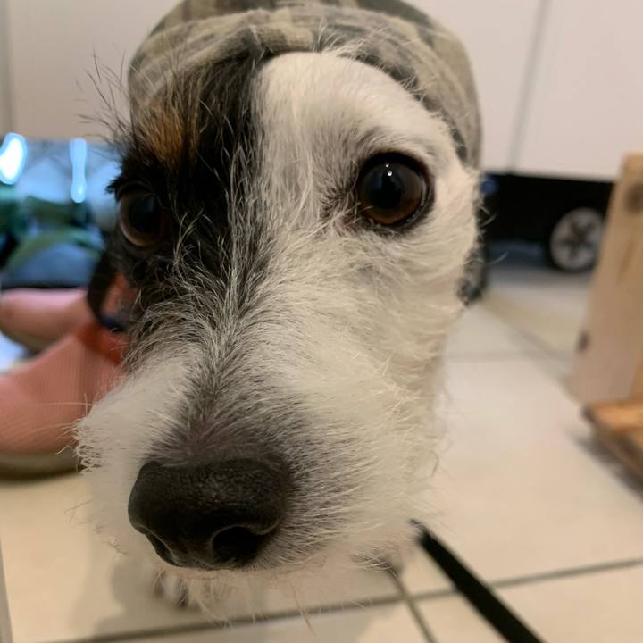 E45d9d91 5545 4e9c 8121 634d18699b8b 1604281109273