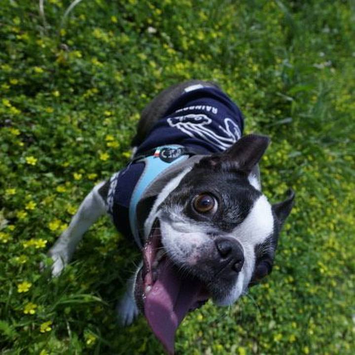 E45da1c4 e09c 4f84 9b1f c3933634e8a5 1524374394422